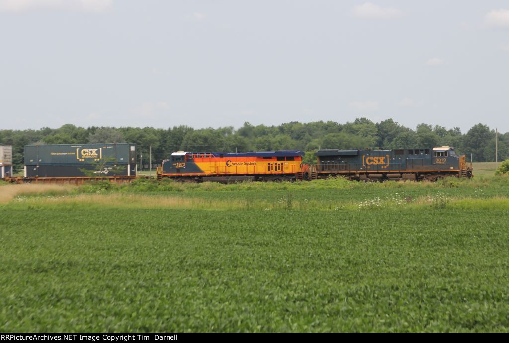 CSX 3019, 1973 on I008